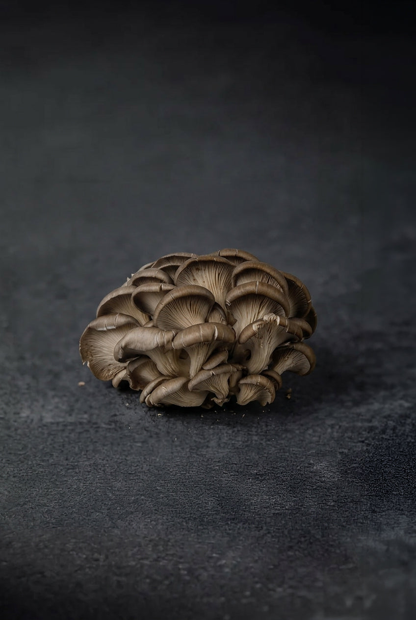 Grey Oyster Mushroom (1kg)