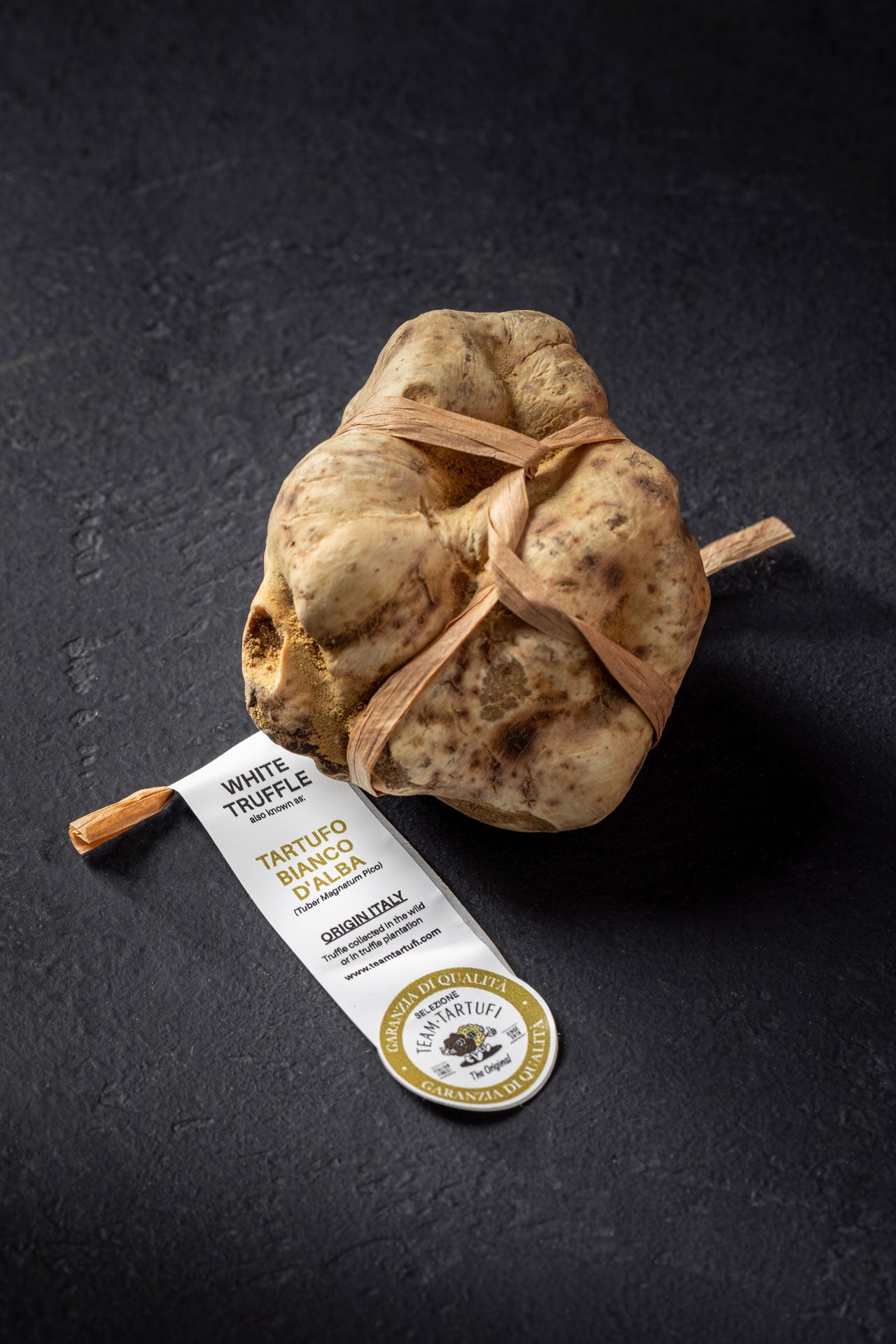 Alba White Truffle (Tuber Magnatum Pico)