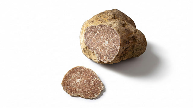 Alba White Truffle