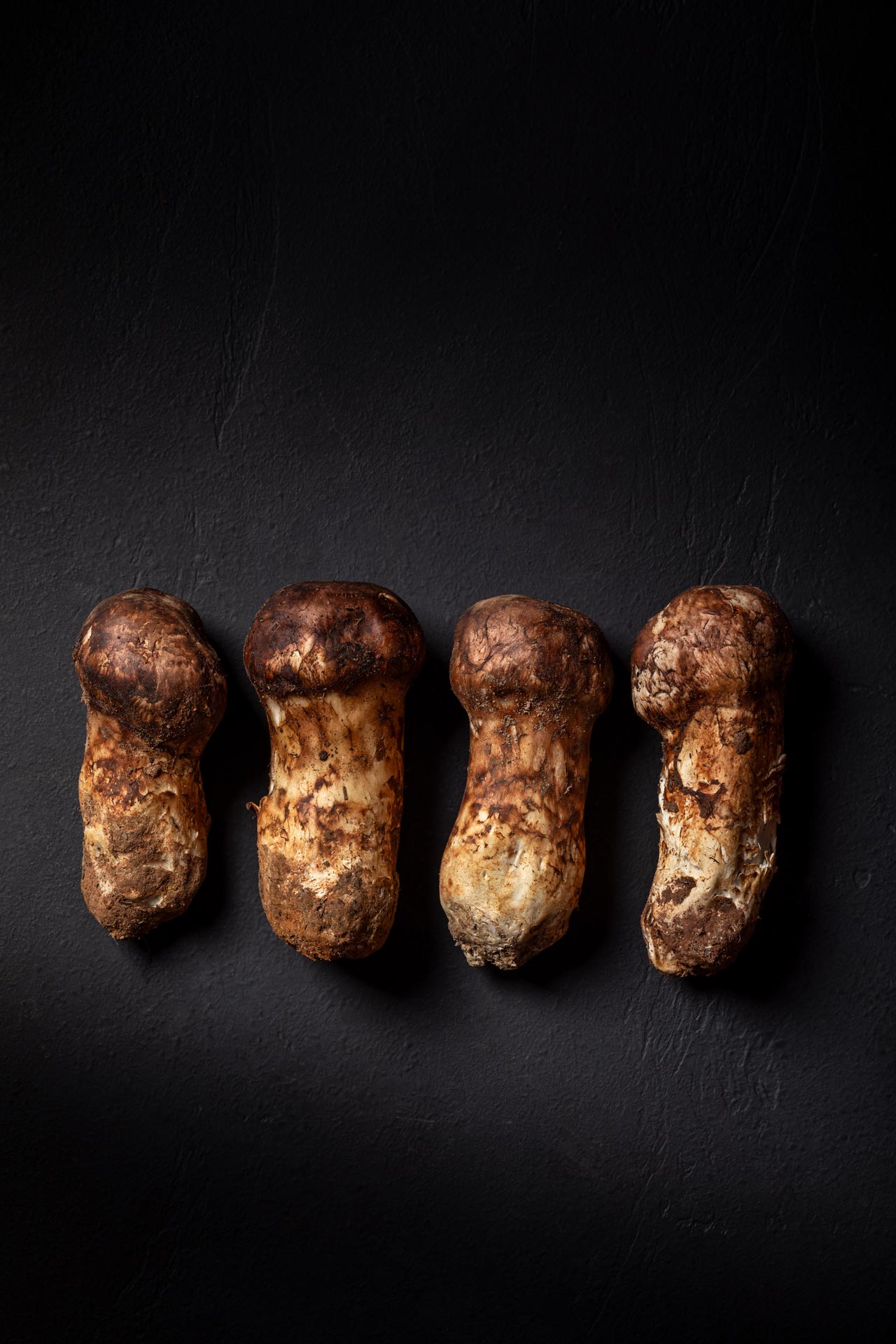 Fresh Matsutake Mushroom | Assumption Truffles