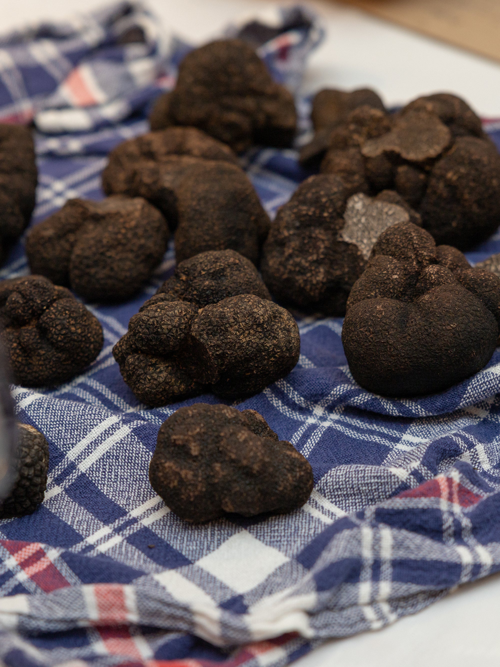 Truffle Experience Event
