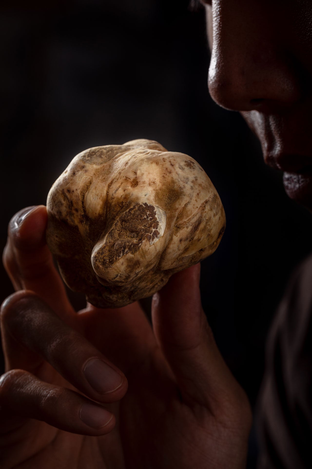 Alba White Truffle (Tuber Magnatum Pico)