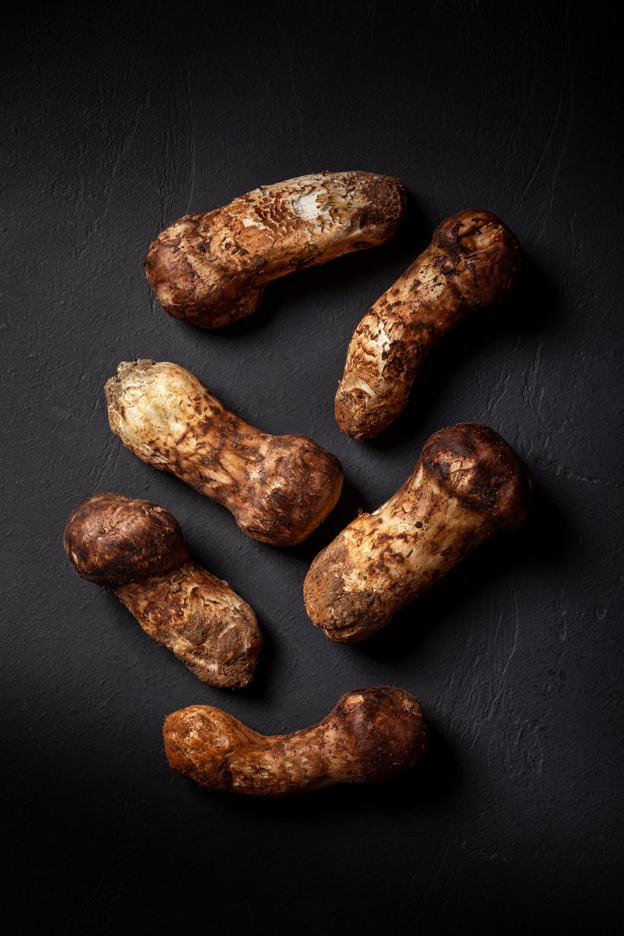 Fresh Matsutake Mushroom | Assumption Truffles