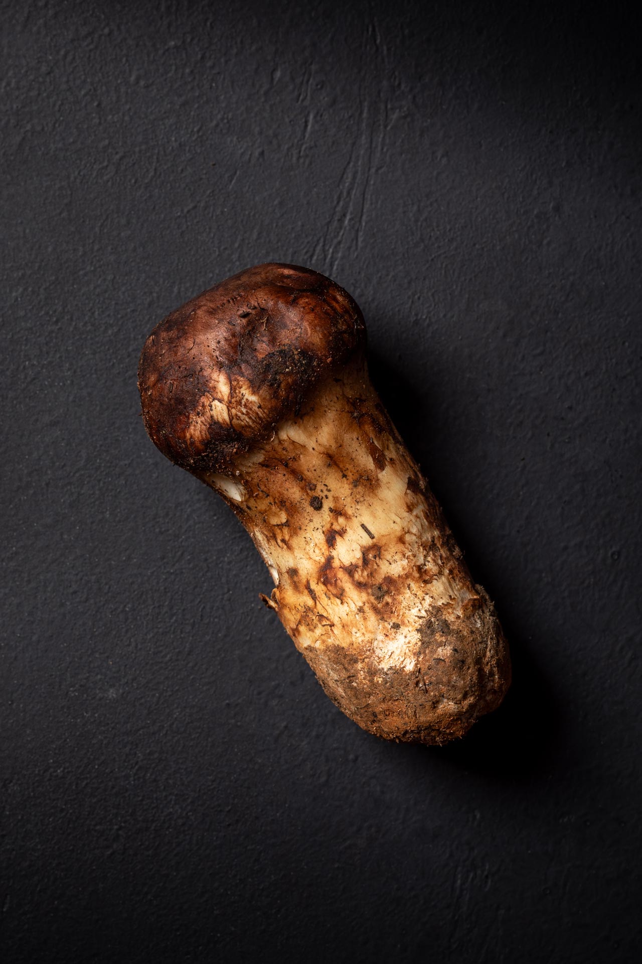 Fresh Matsutake Mushroom | Assumption Truffles