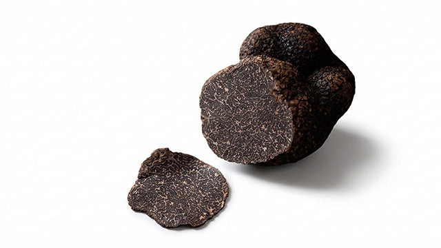 Perigord Black Winter Truffle